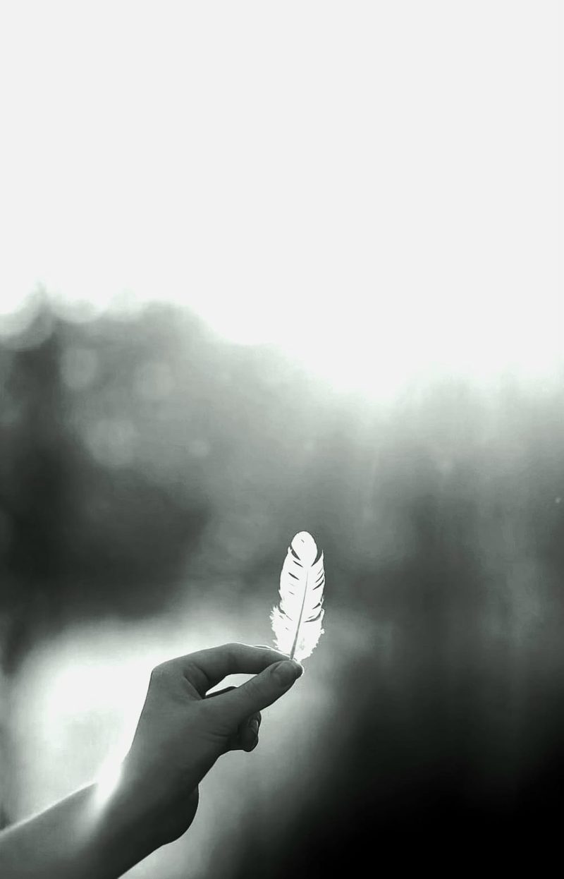 Een hand houdt een veertje vast tegen het licht